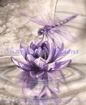 (image for) Snippet Contemplation